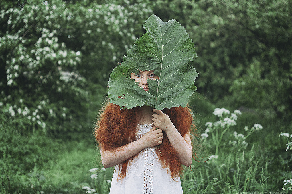 Hide and Seek: 5, 4, 3, 2, 1 by Alexandra Bochkareva on 500px.com