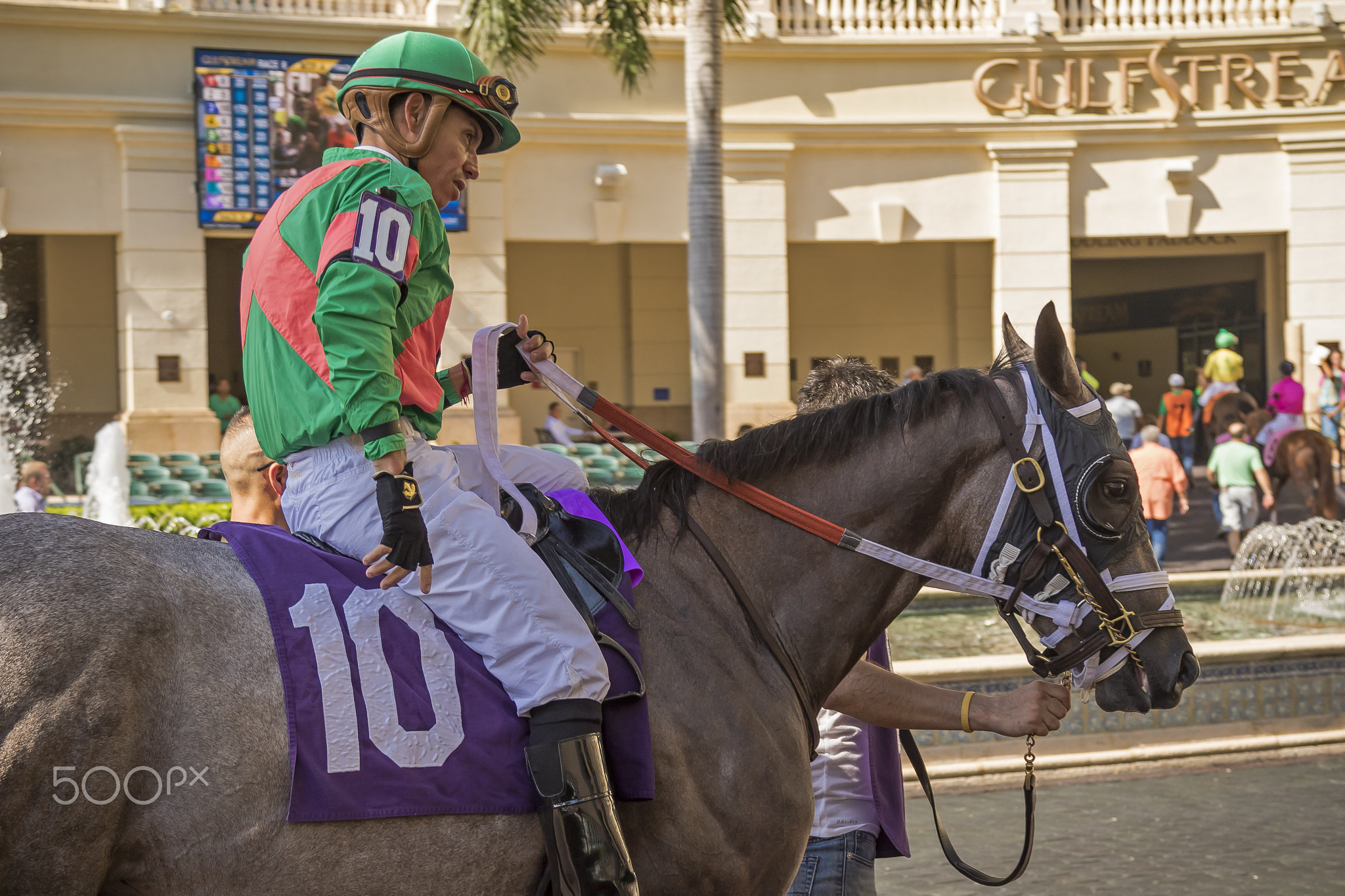 A Day At The Horse Track