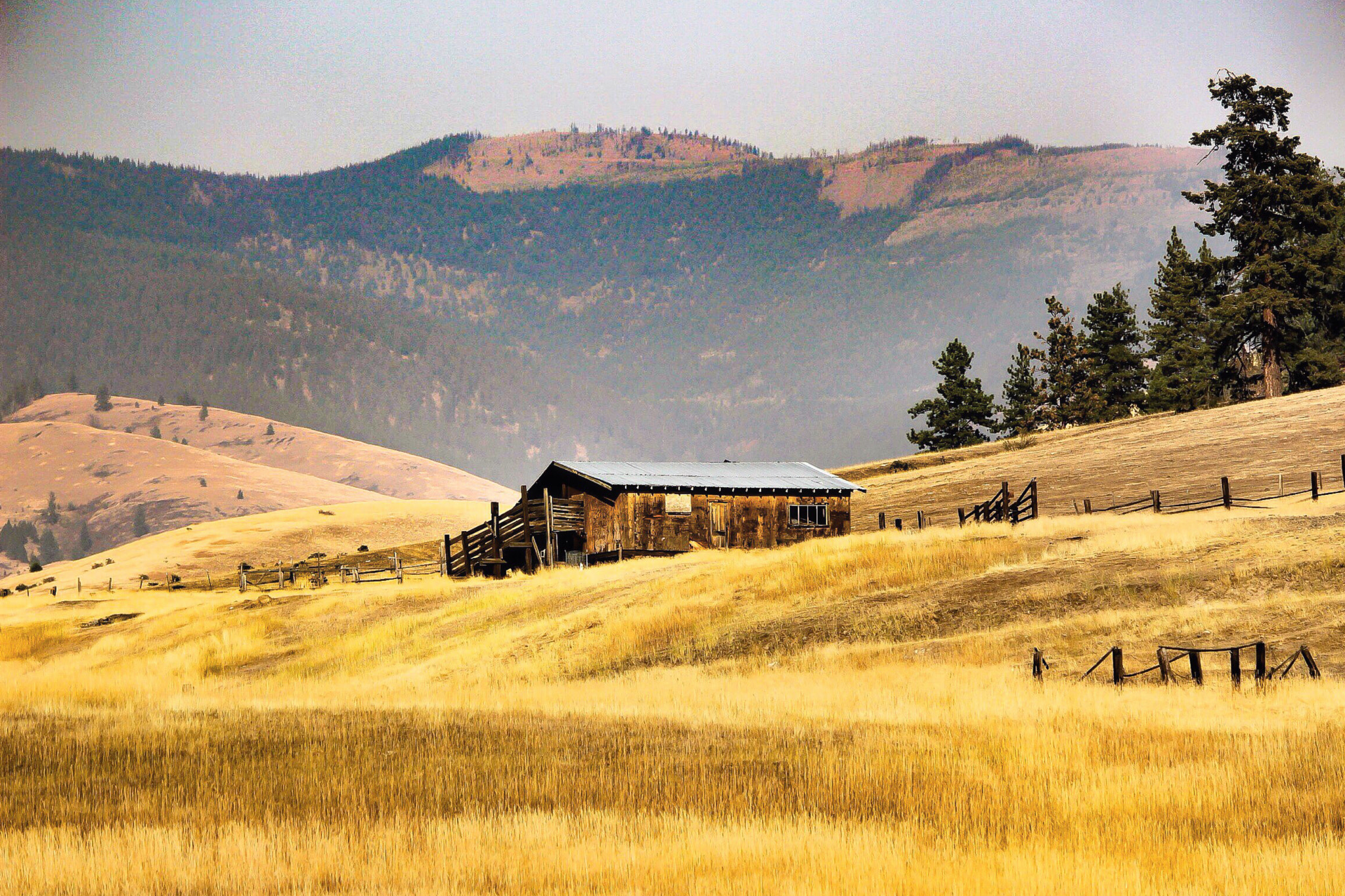 Western Log Barn in Idaho