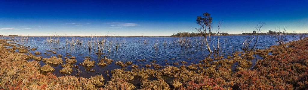 Kondinin Lake by Paul Amyes on 500px.com