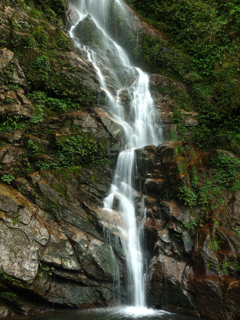 Rimbi Falls - Pelling