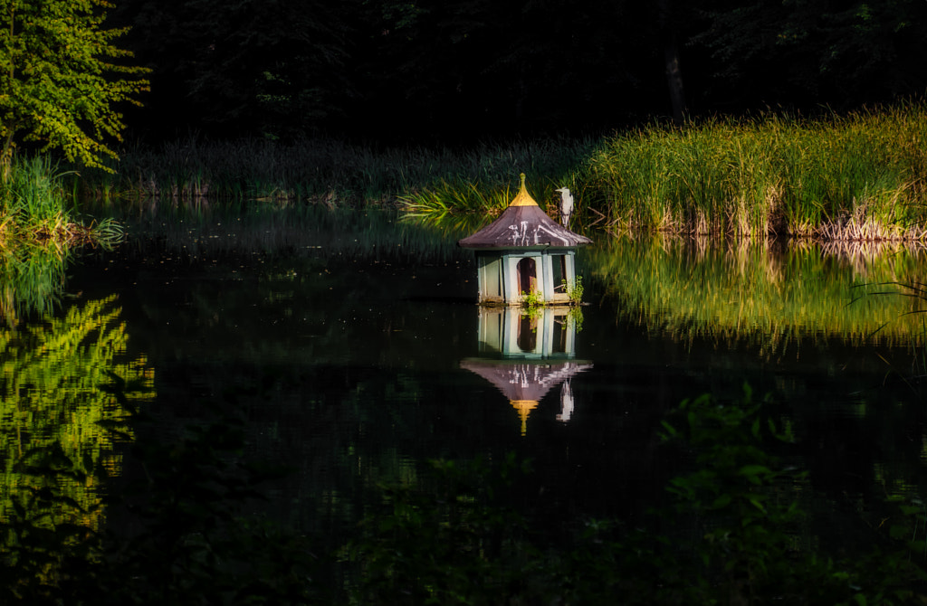 heron von dirk derbaum auf 500px.com