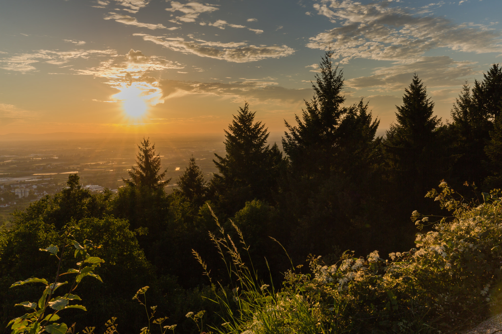coucher de soleil sur la vallée du Rhin