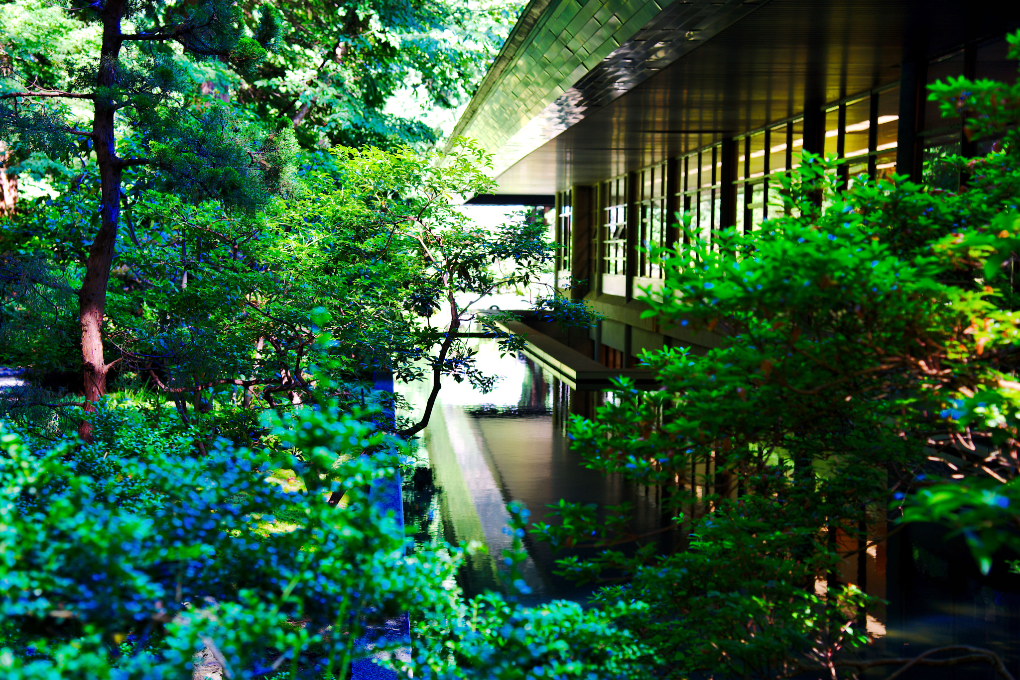 Asian Studies Centre