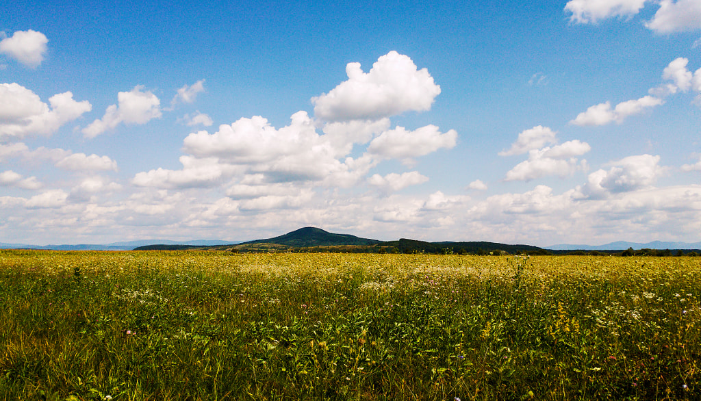 Salánki-hegy (Hill) by Attila Fehér on 500px.com