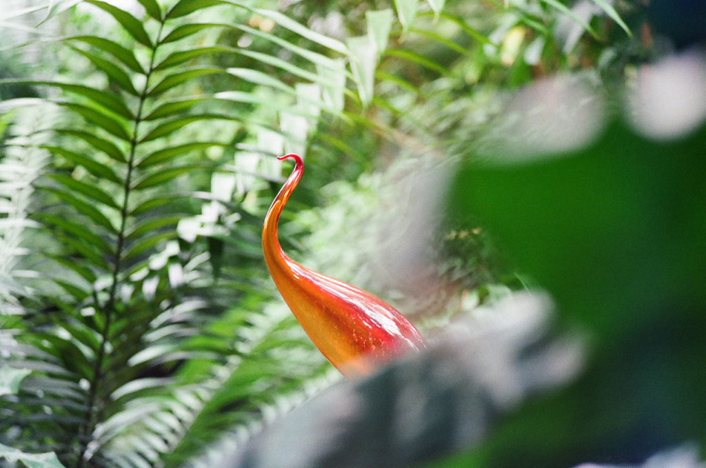 A red-orange glass sculpture, resembling a crane, peeks out from behind a lush, leafy landscape.