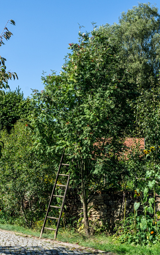 ladder von dirk derbaum auf 500px.com
