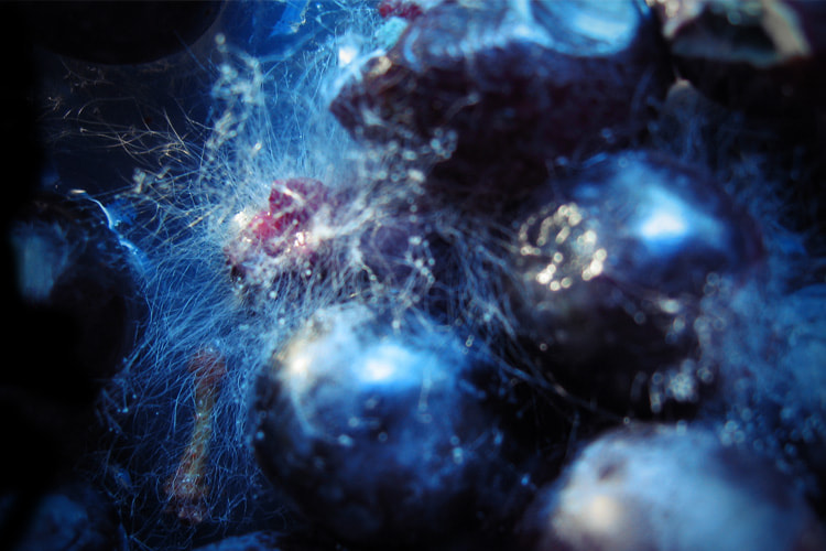 v2?sig=9240386e134e8833d5cfe29d177e20eed