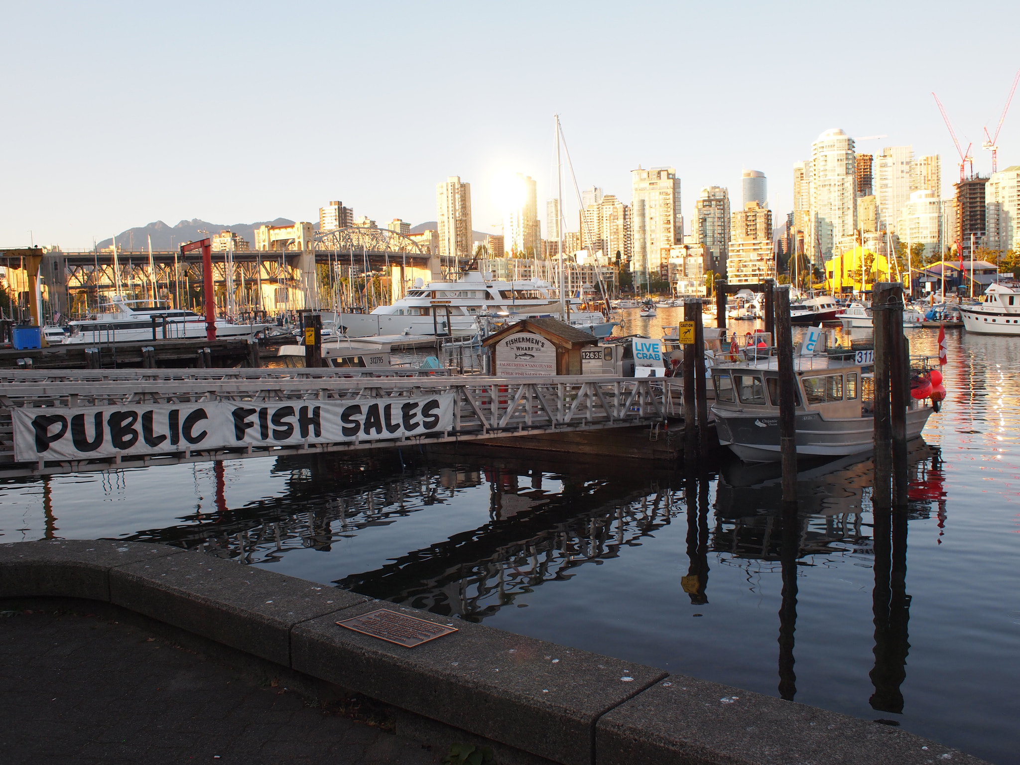 Fish for Sale