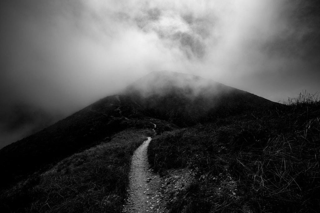 IMAGE: https://drscdn.500px.org/photo/226248147/m%3D900/v2?webp=true&sig=2d89cbf4051a3948a872bd60508ba0f58f1d12e7b8690bf4f225fc776760c736