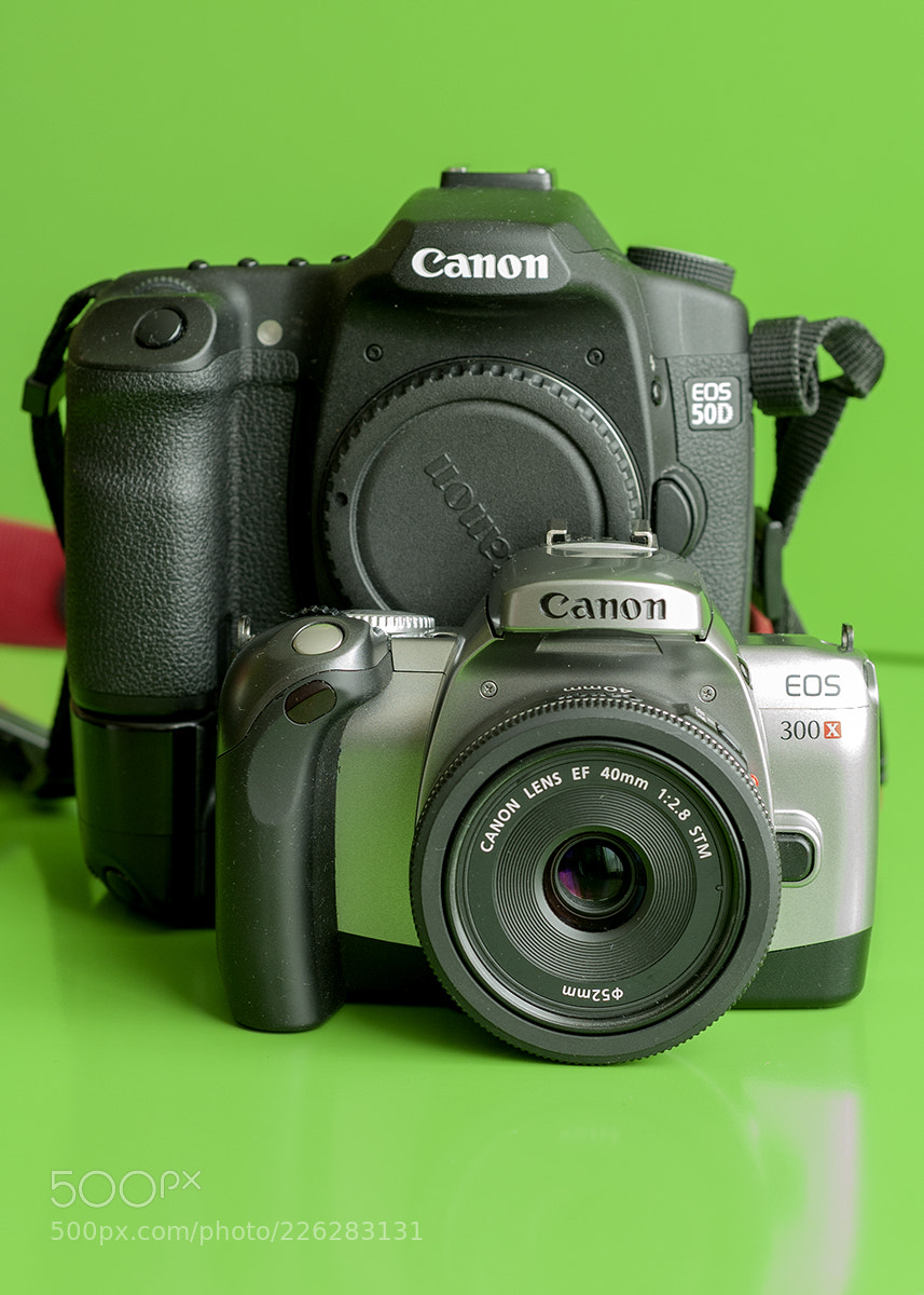 Nikon D70 sample photo. Untitled photography