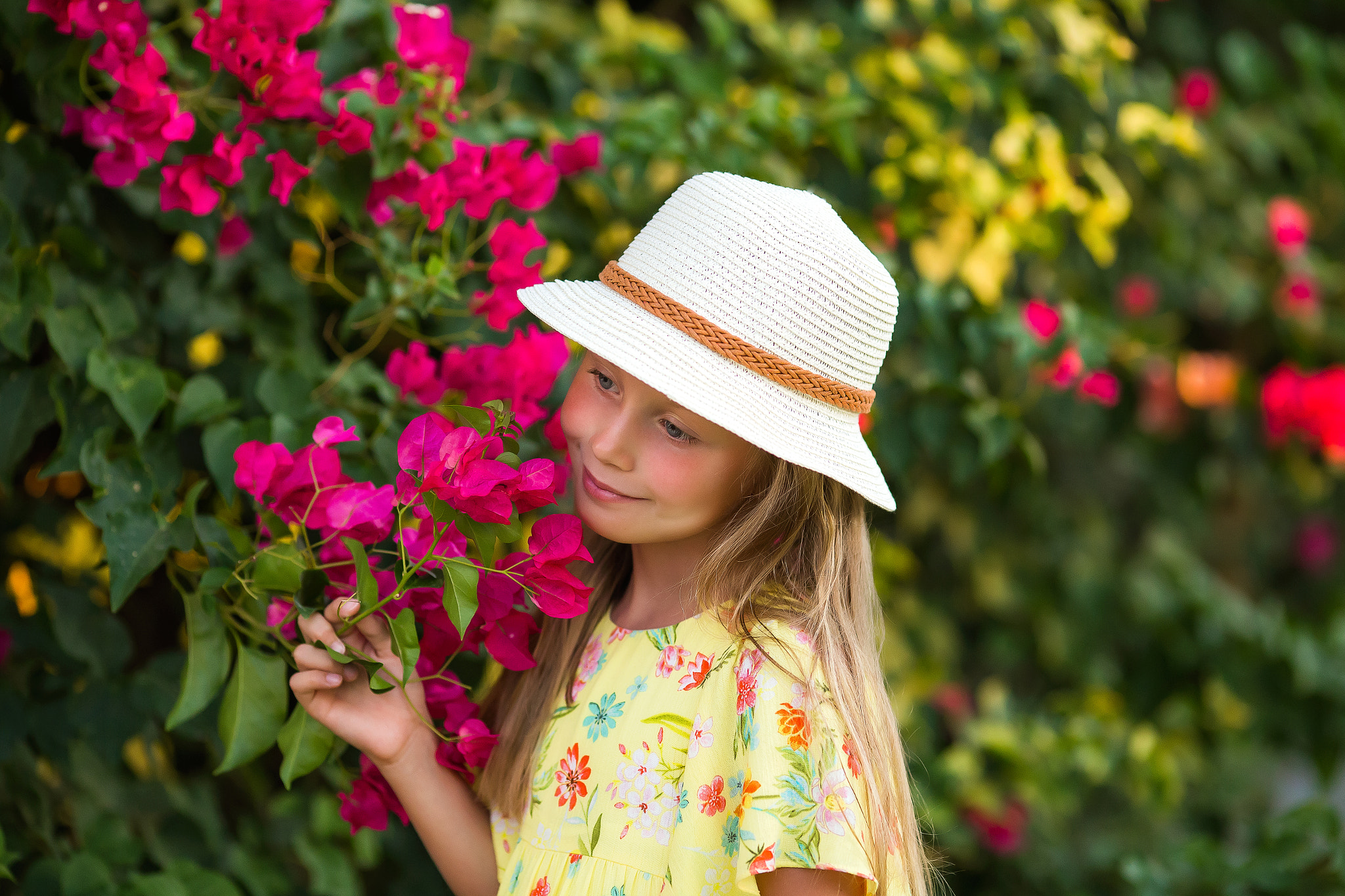 bright colors of flowers