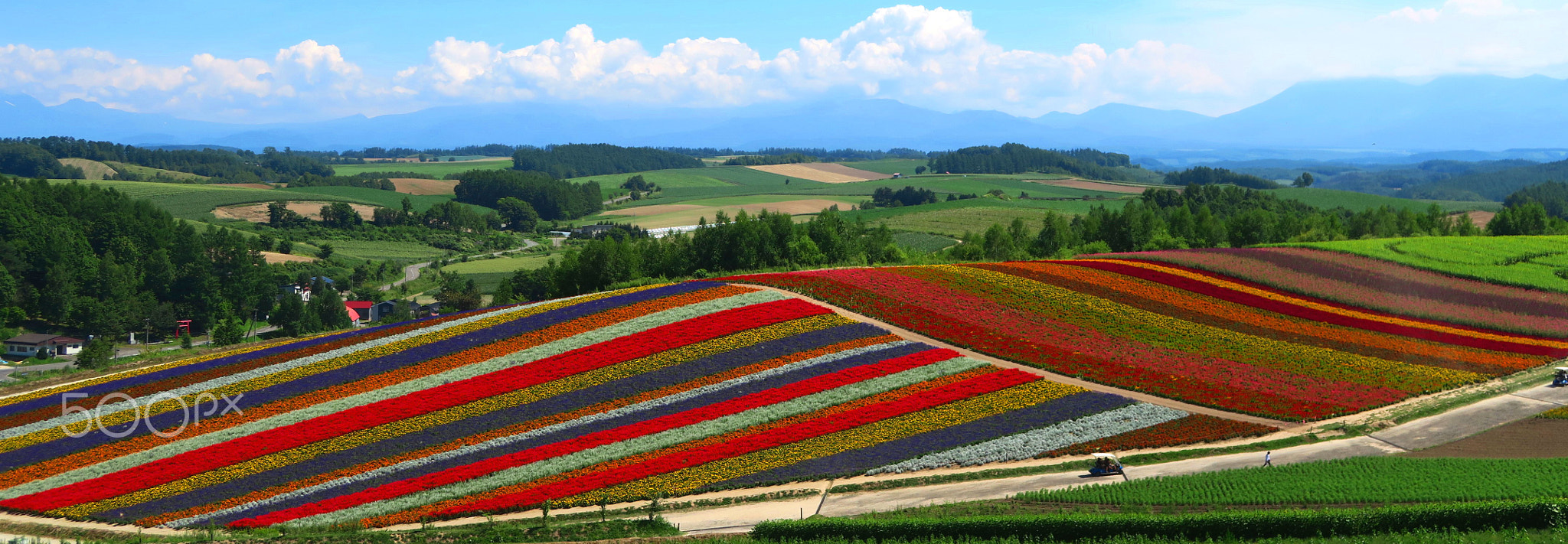 HOKKAIDO X / Summer - Color 9