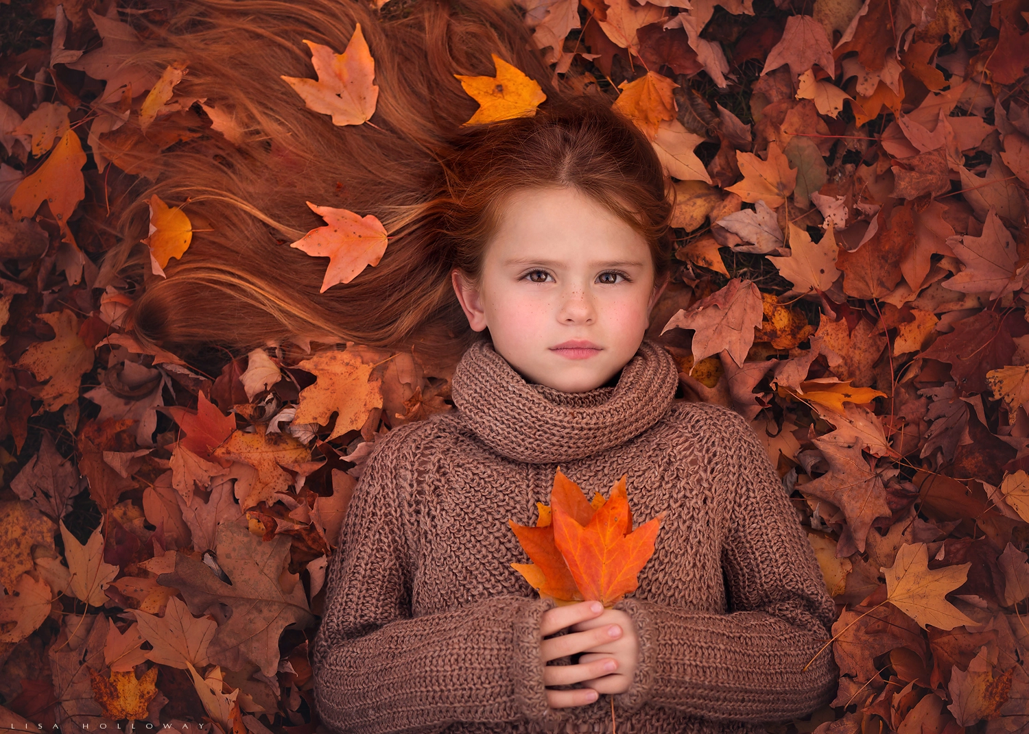 Lisa Holloway (LisaHolloway) Photos / 500px - 1170 x 835 jpeg 553kB