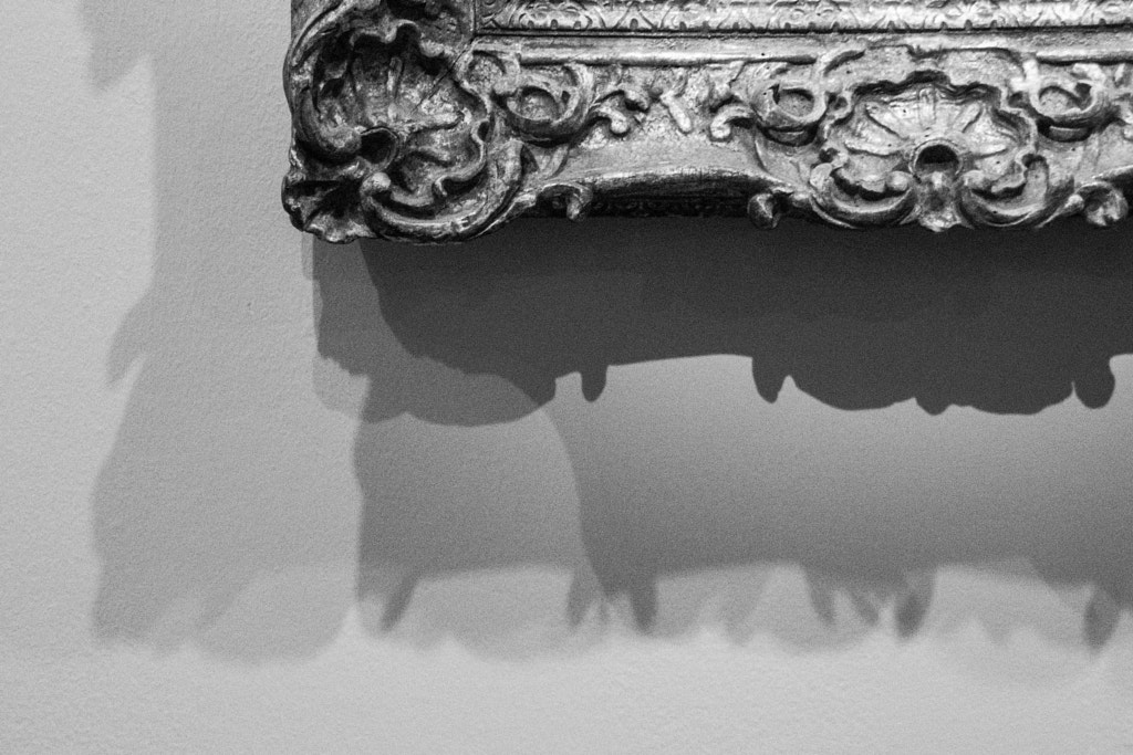 L'ombre du tableau (The shade of the picture)) de Christine Druesne sur 500px.com