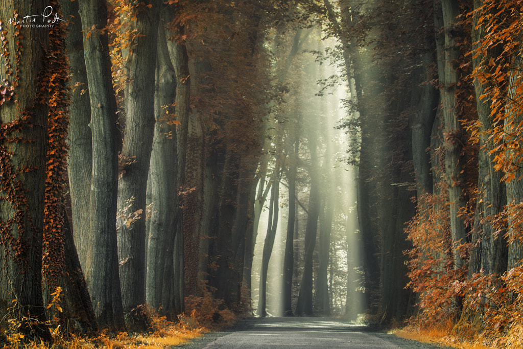 The Old and Rusty Road by Martin Podt on 500px.com