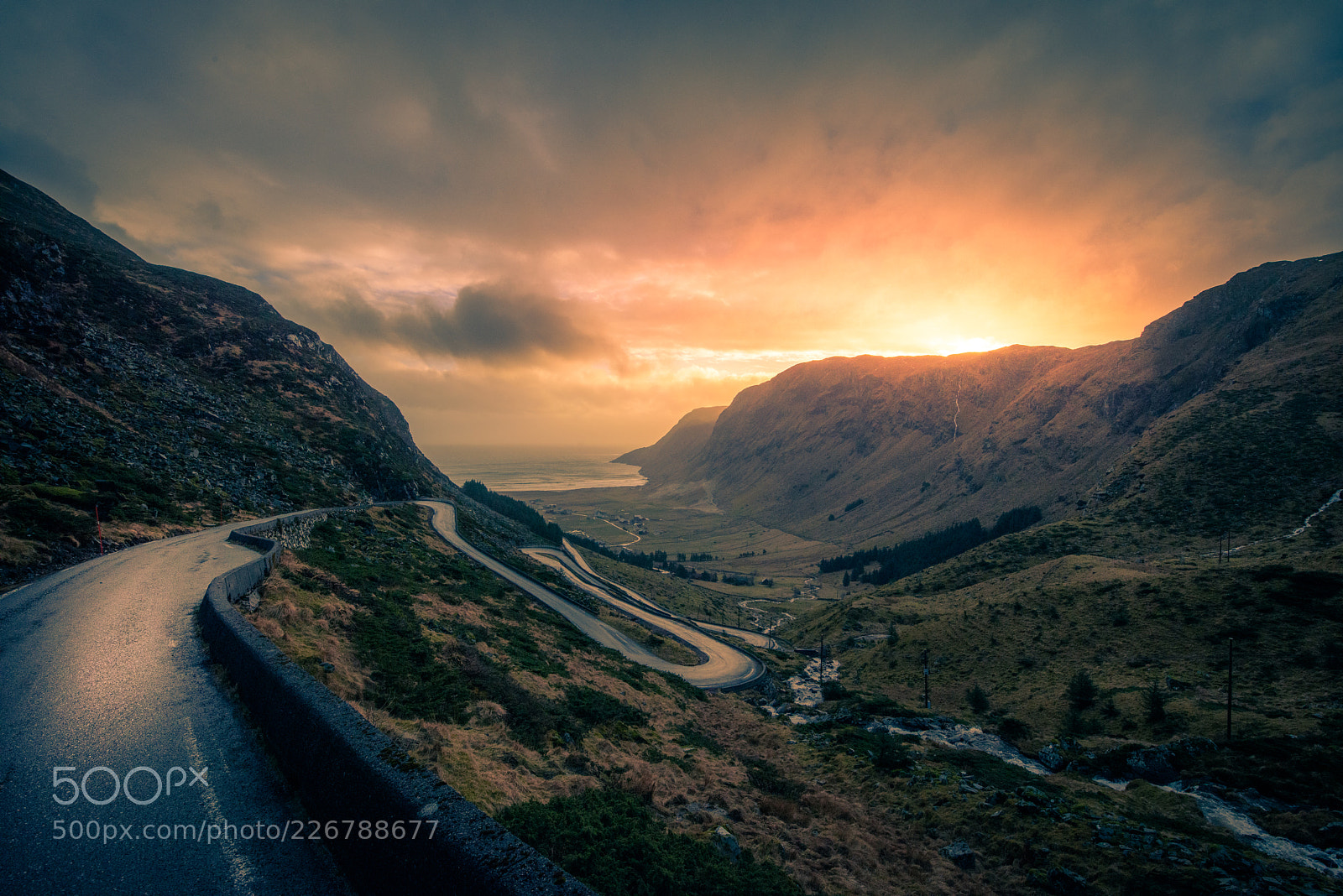 Nikon D810 sample photo. Lonely road photography