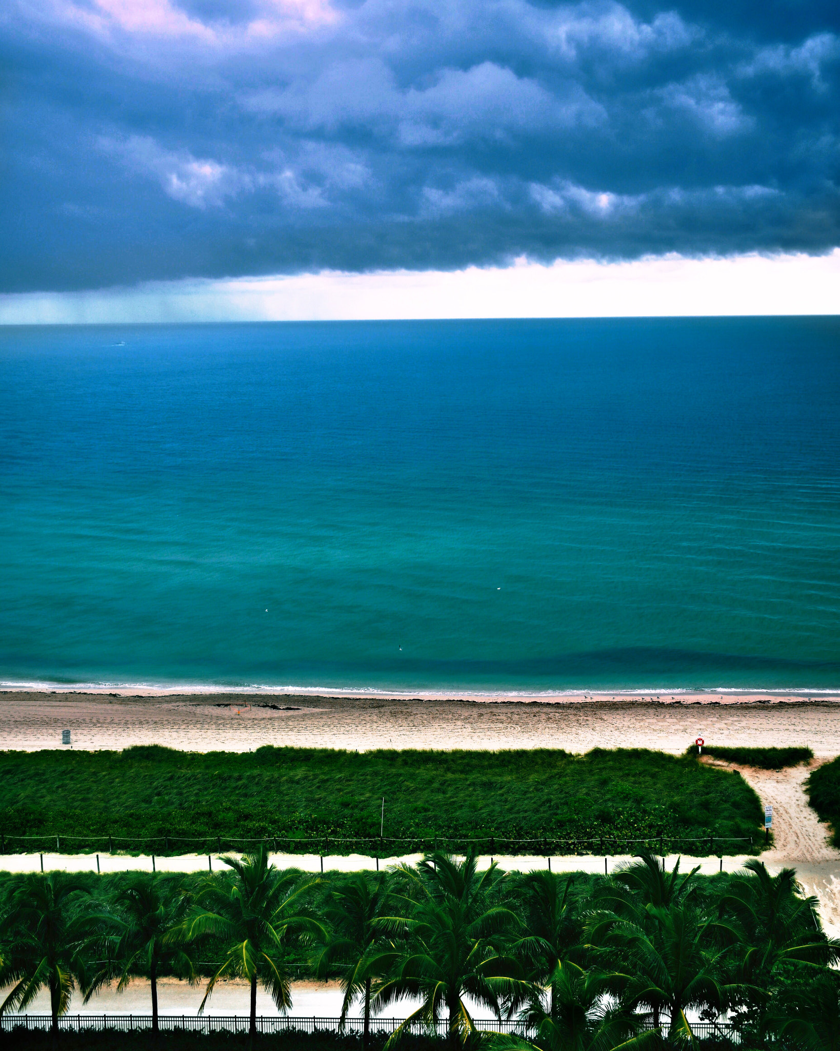 "Miami Hotel"