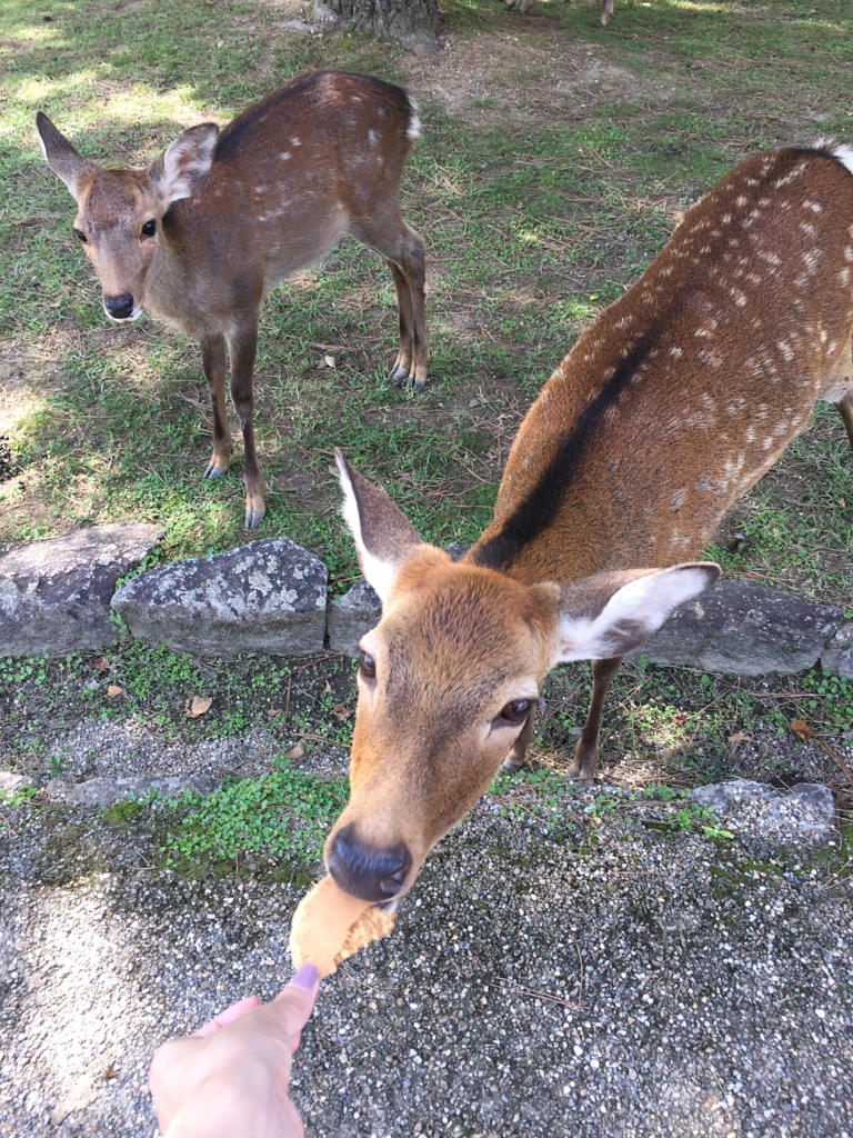 IMG by info9813 on 500px.com