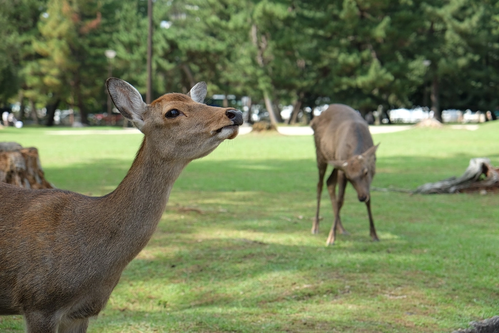 DSCF by info9813 on 500px.com