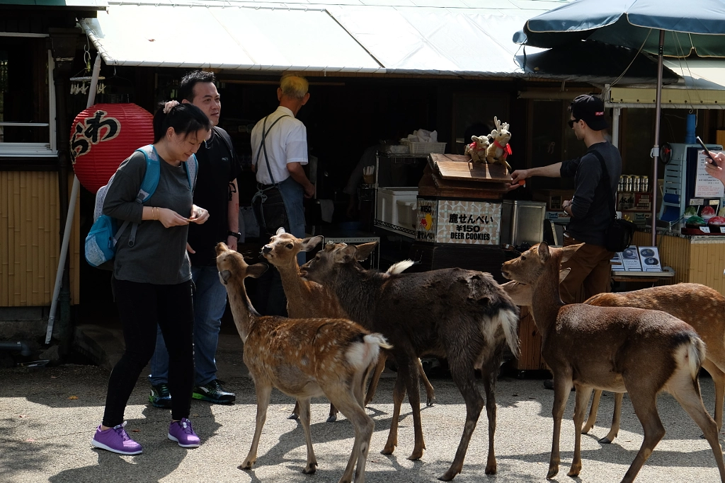 DSCF by info9813 on 500px.com