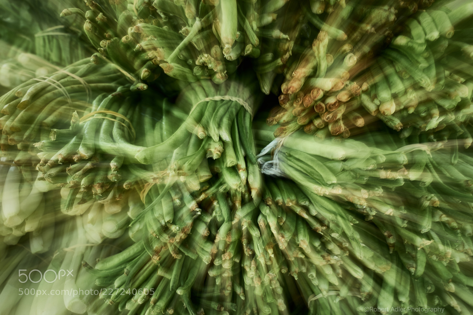 Leica SL (Typ 601) sample photo. Onions photography
