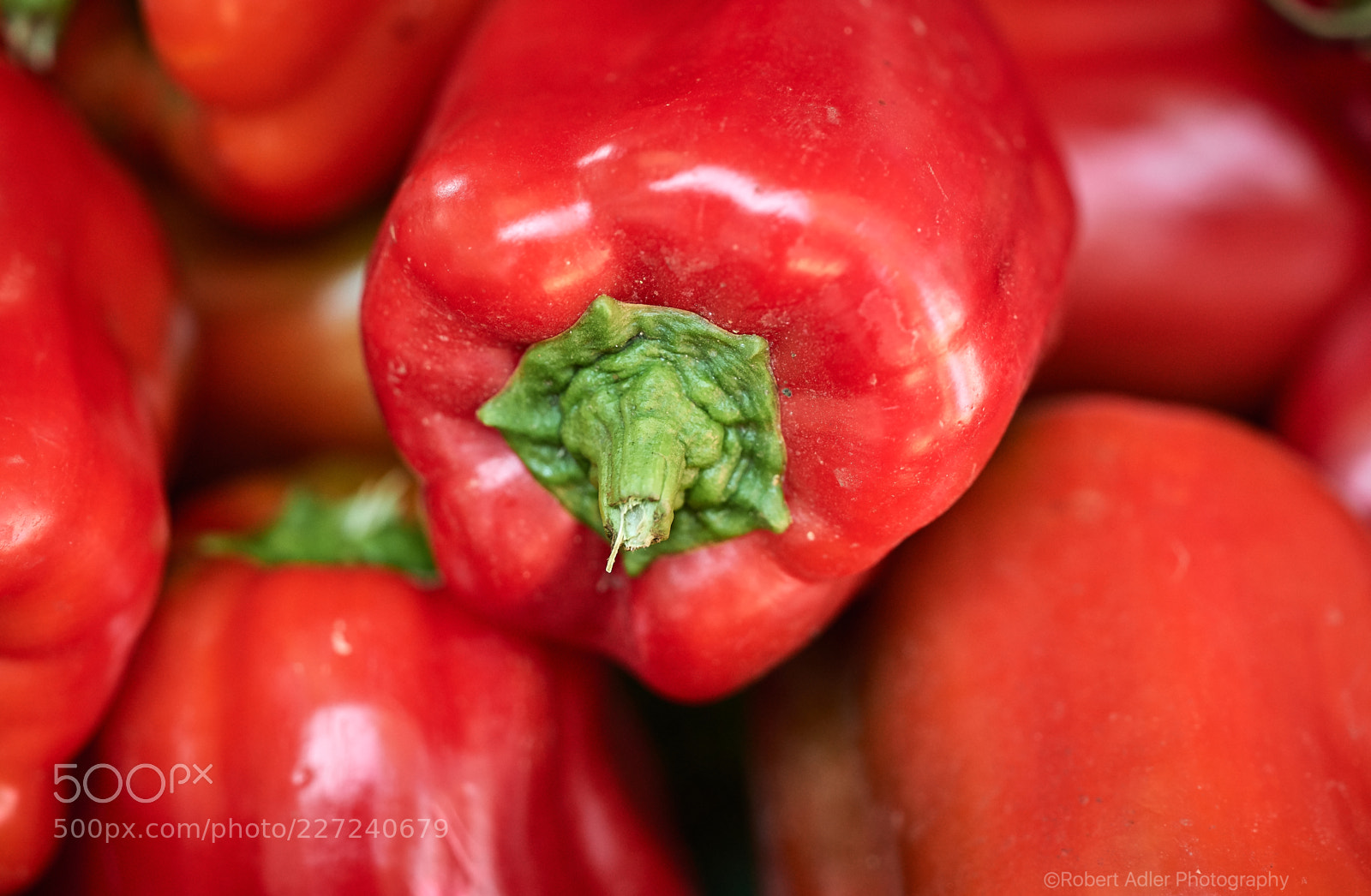 Leica SL (Typ 601) sample photo. Peppers photography