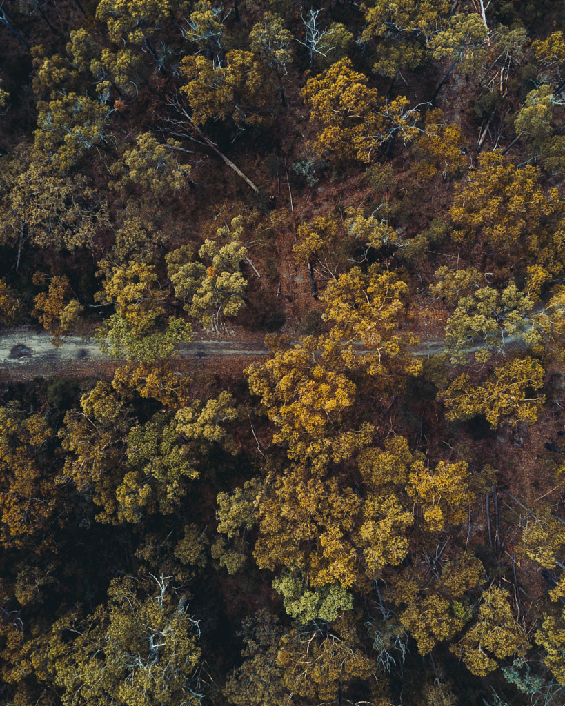 The Road Less Traveled by Kaitlyn McLachlan on 500px.com