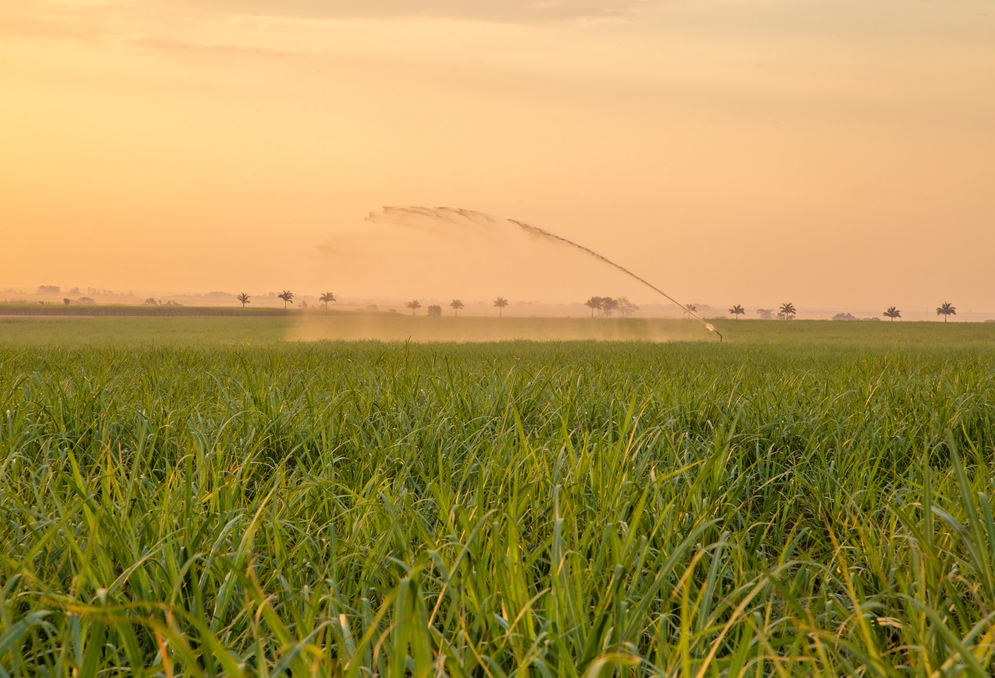 v2?sig=b9d7d7af7e1536a68c57bee59b2fe0f8846cb5398e19a5c5ba959a9c07c33b7e