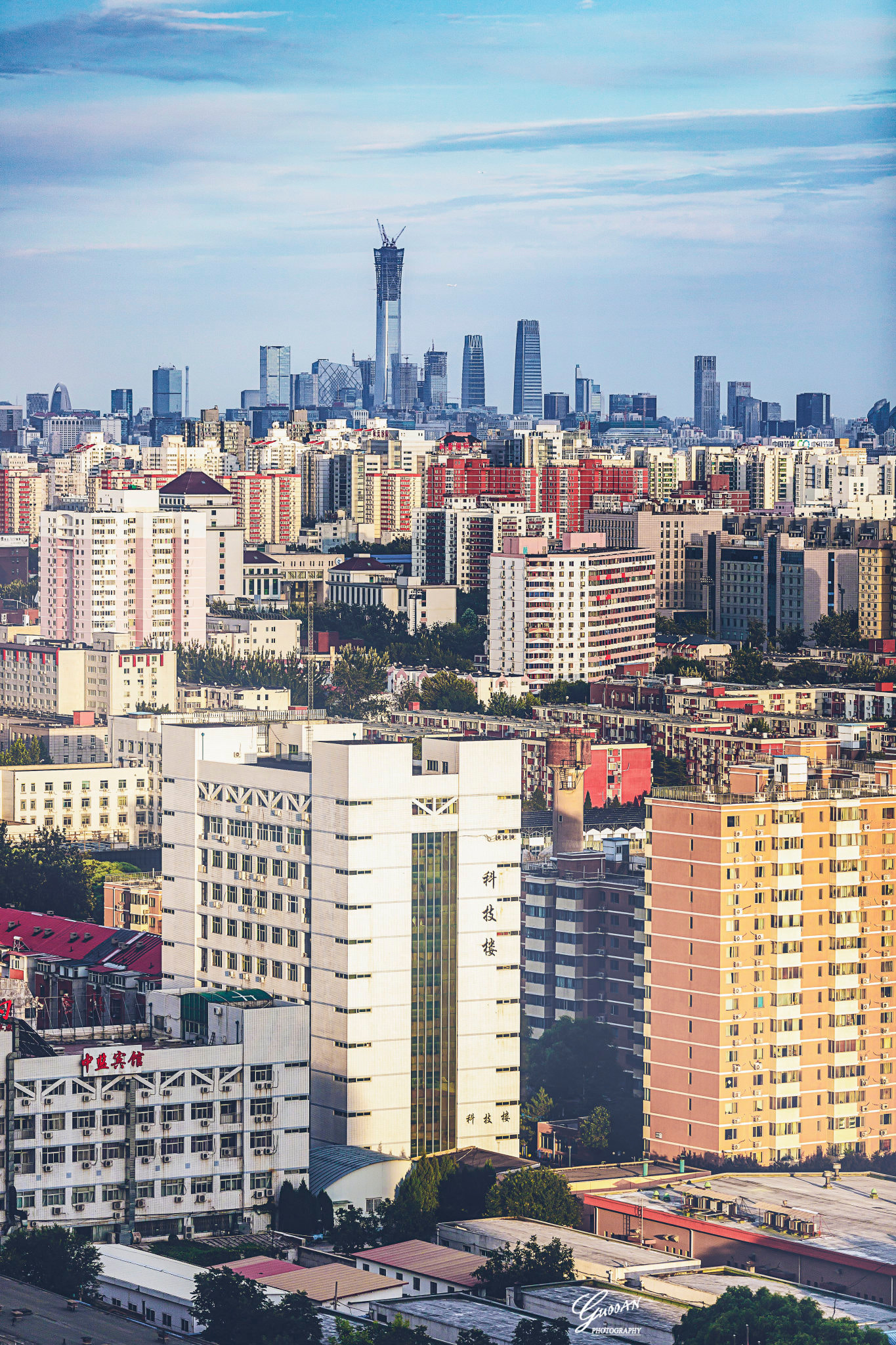钢筋混凝土上的森林城市