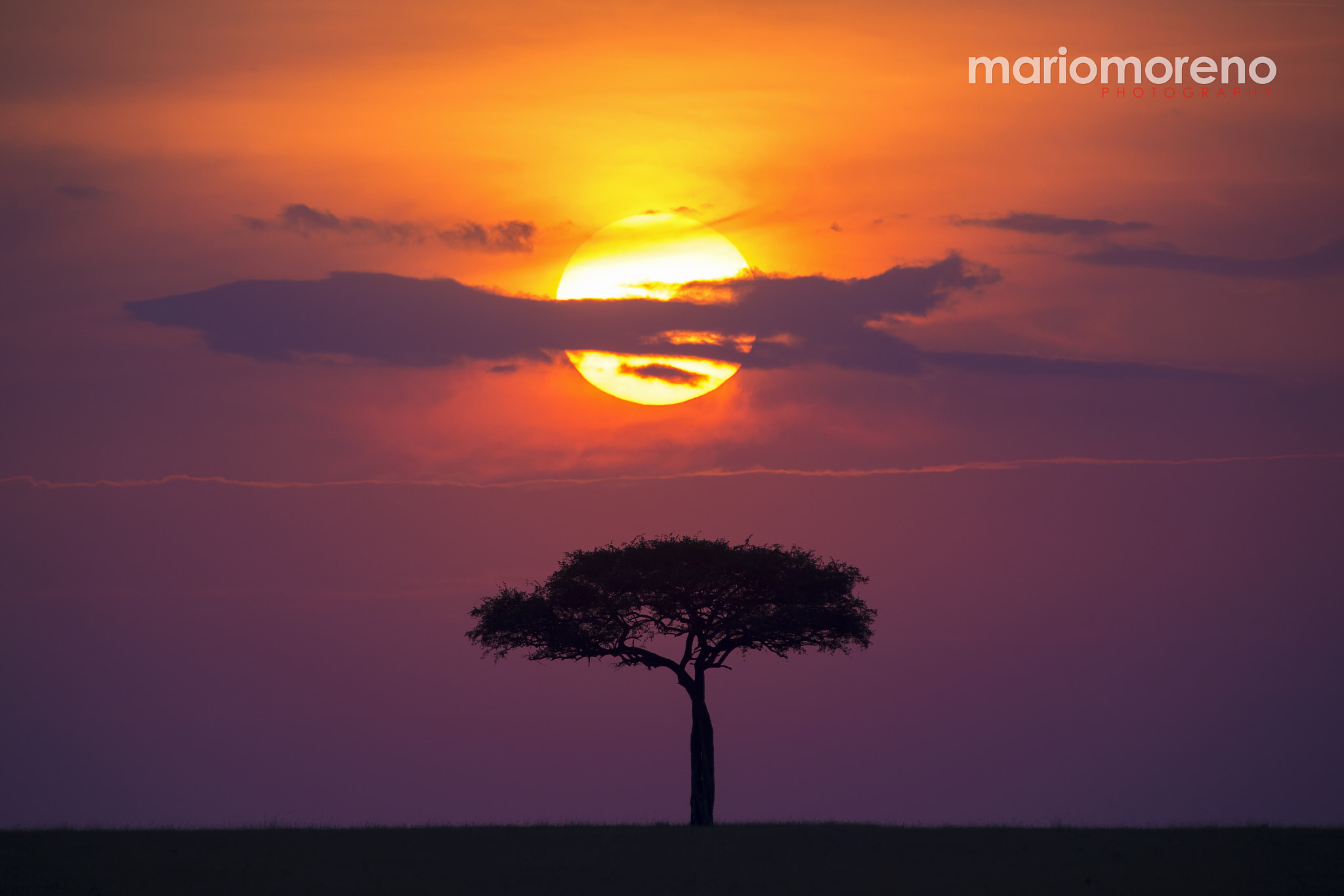 Mario Moreno (mariomoreno) Photos / 500px