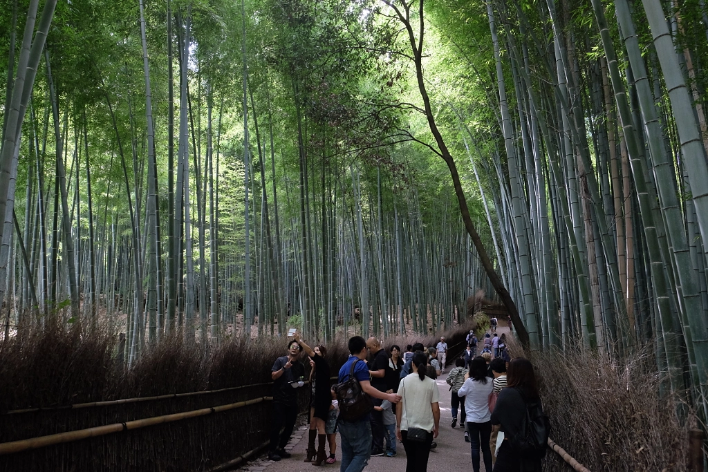 DSCF by SophiaHo on 500px.com