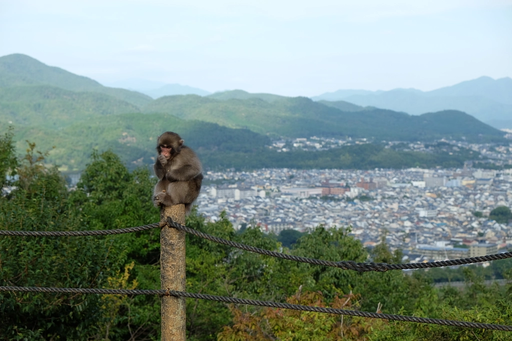 DSCF by ukijojo on 500px.com