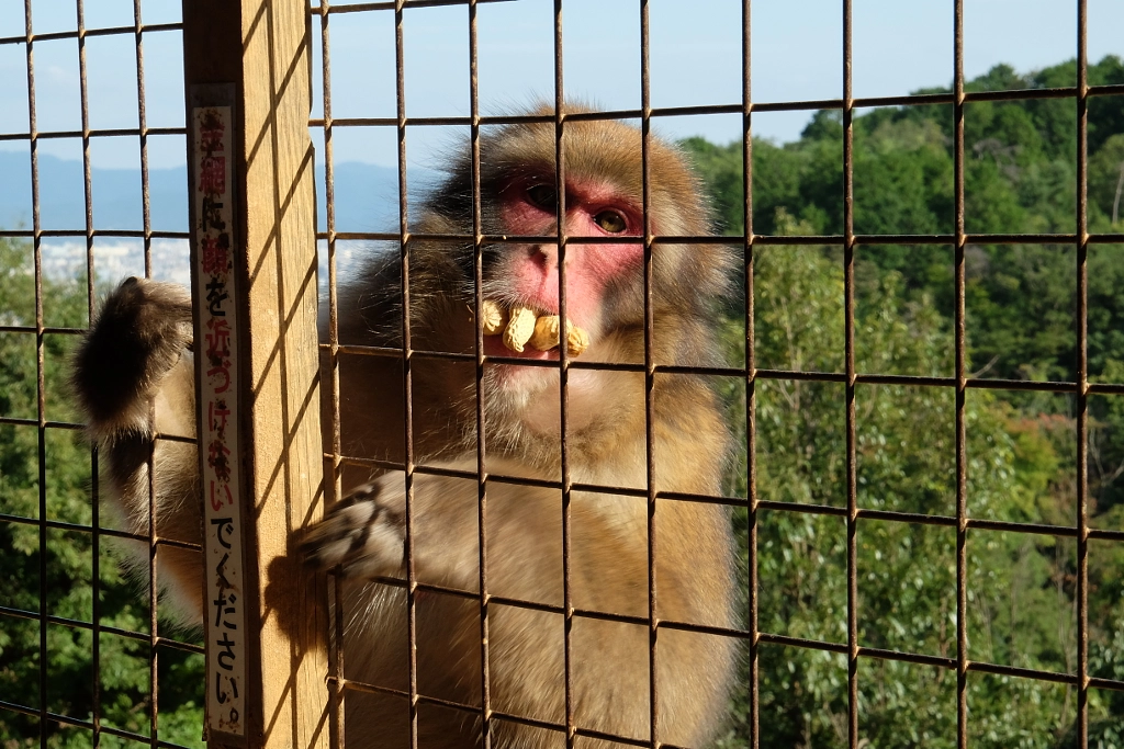 DSCF by ukijojo on 500px.com