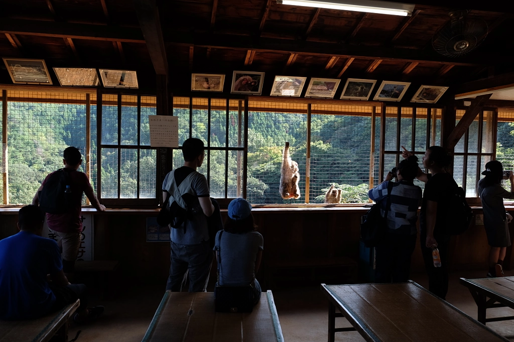 DSCF by ukijojo on 500px.com