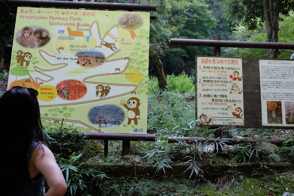 DSCF by ukijojo on 500px.com