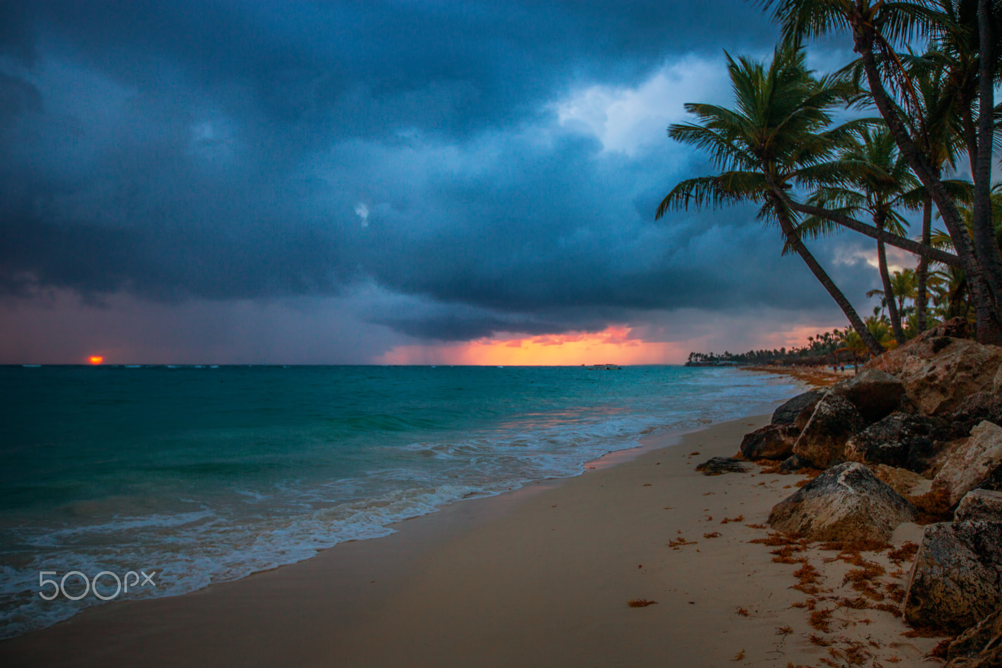 Palm and tropical beach in Punta Cana, Dominican Republic