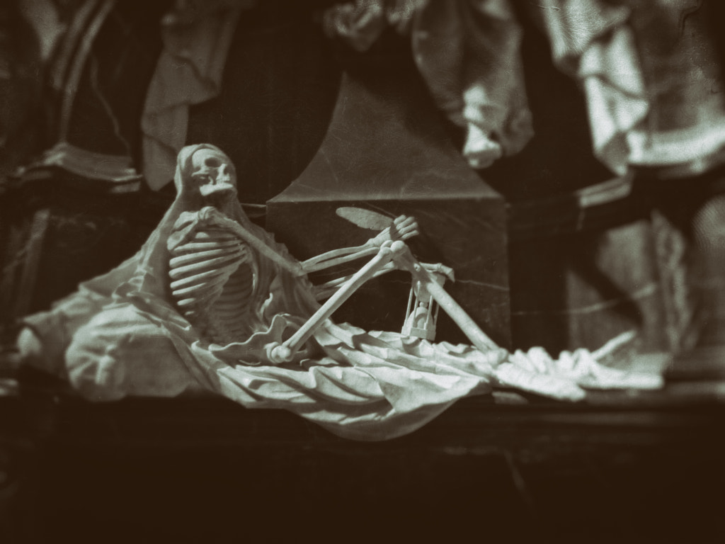 mr. tod von dirk derbaum auf 500px.com