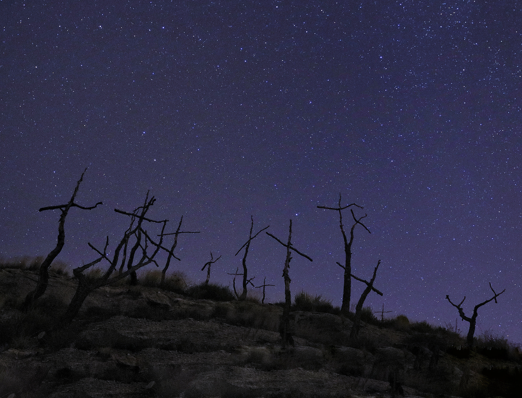 El bosc de les creus by Montse Cascales on 500px.com