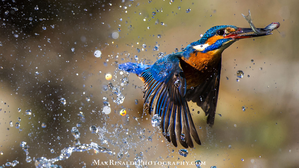 Show Time by Max Rinaldi on 500px.com