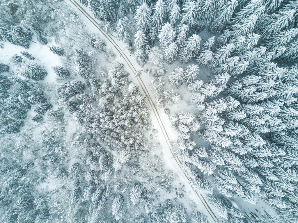 A road in the middle of the forest by Willian Justen de Vasconcellos on 500px.com