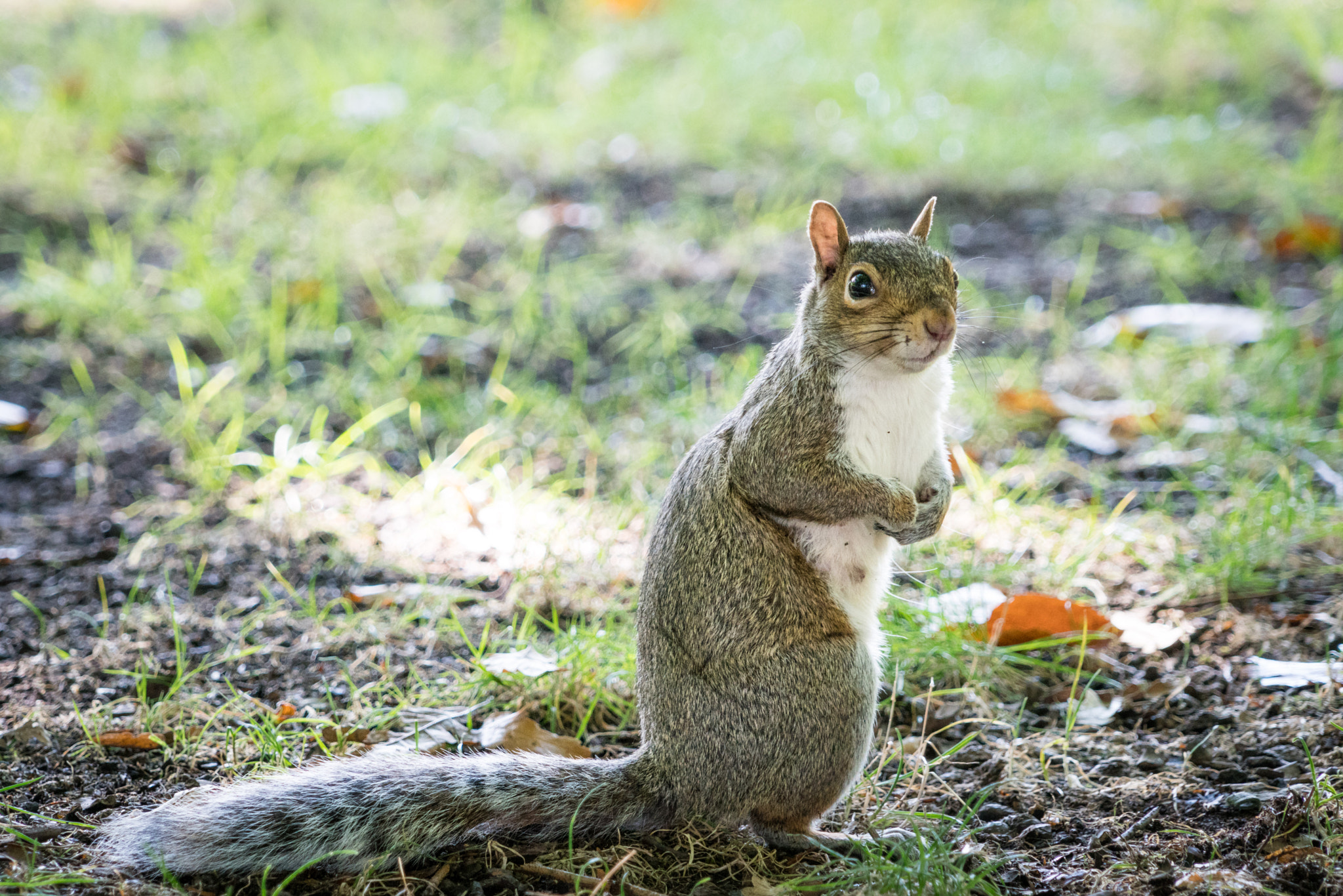 What you looking at.