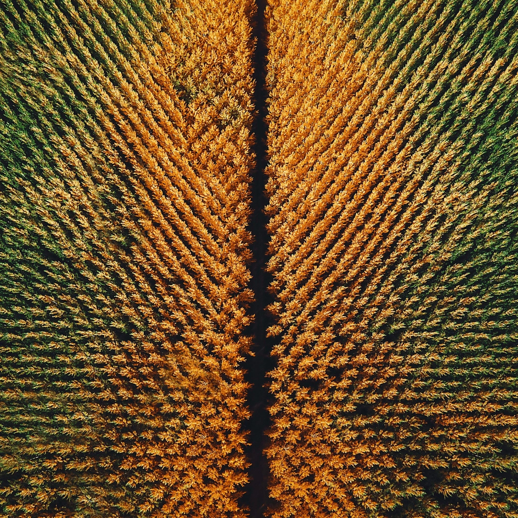 Fall creeping in. by Nick Verbelchuk on 500px.com