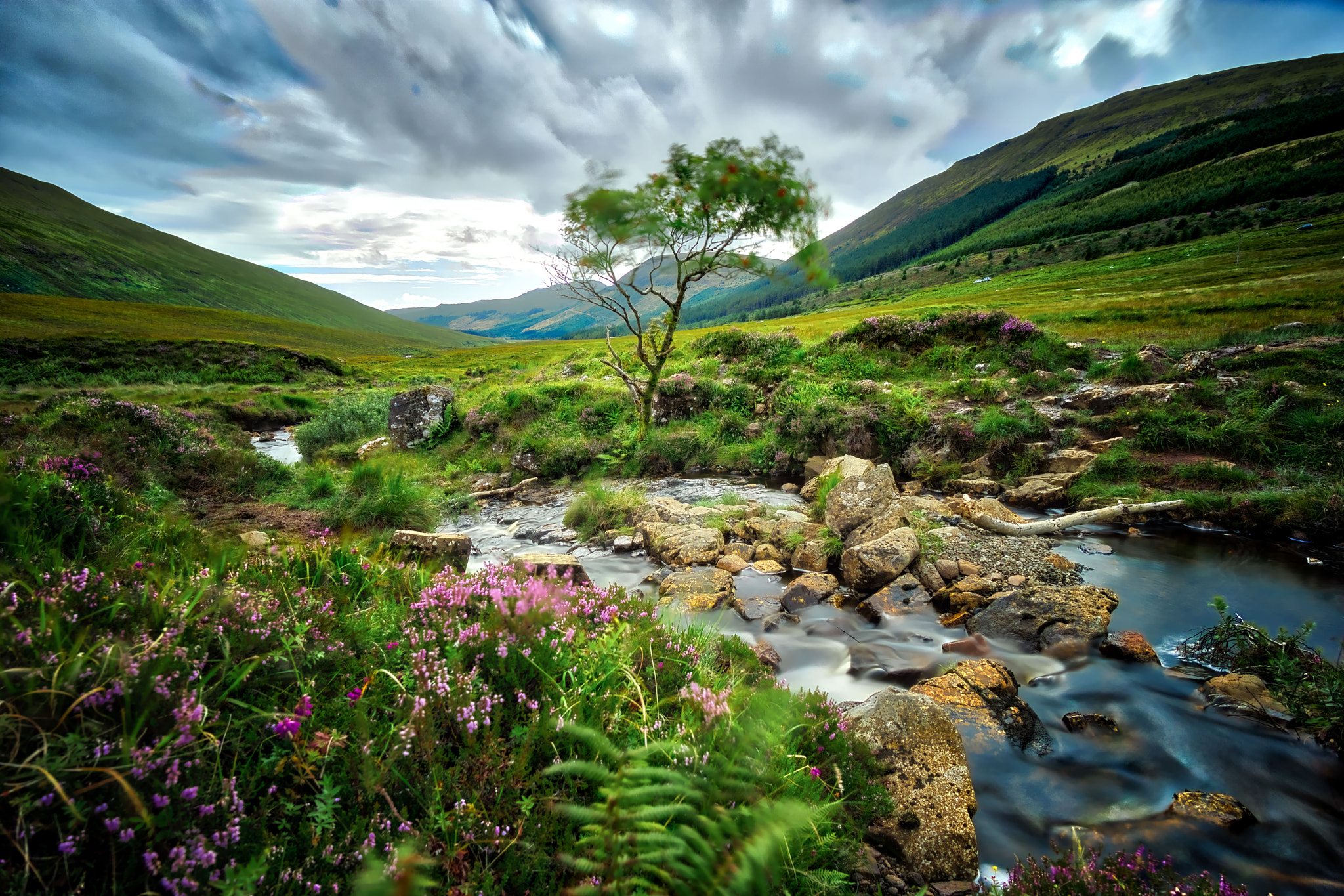 The Misty Isle II und III