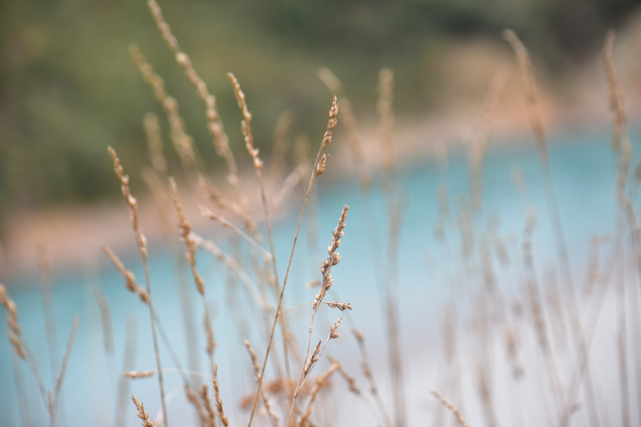 Nikon D5600 sample photo. Blurry blue photography