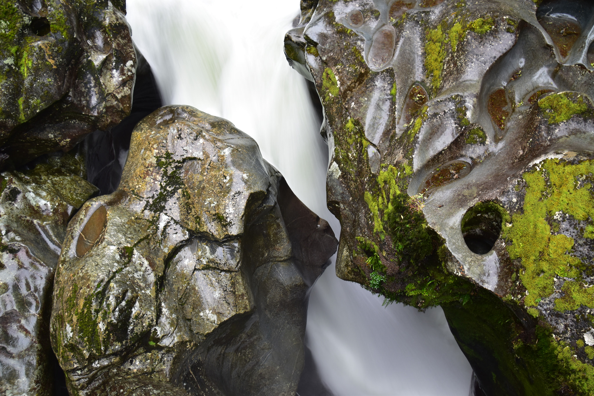 Nikon D5600 sample photo. Flowing milky photography