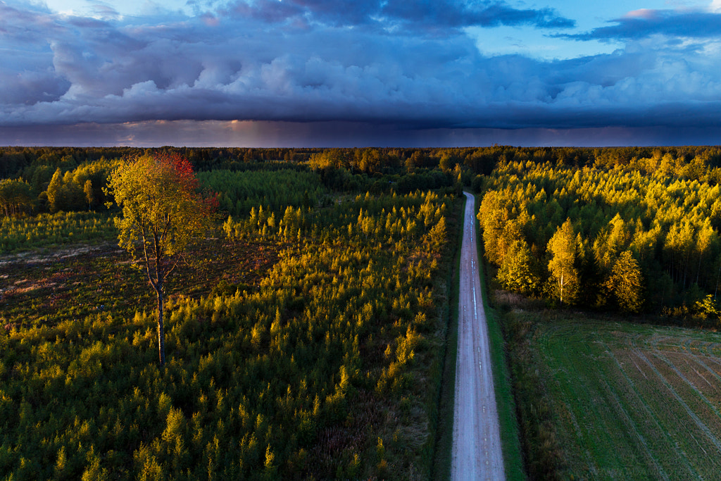 Autumnal by Karl Adami on 500px.com