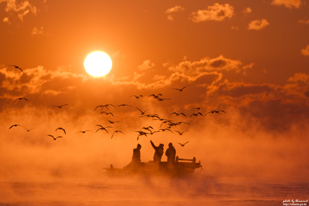 return to port by Jason Oh on 500px.com