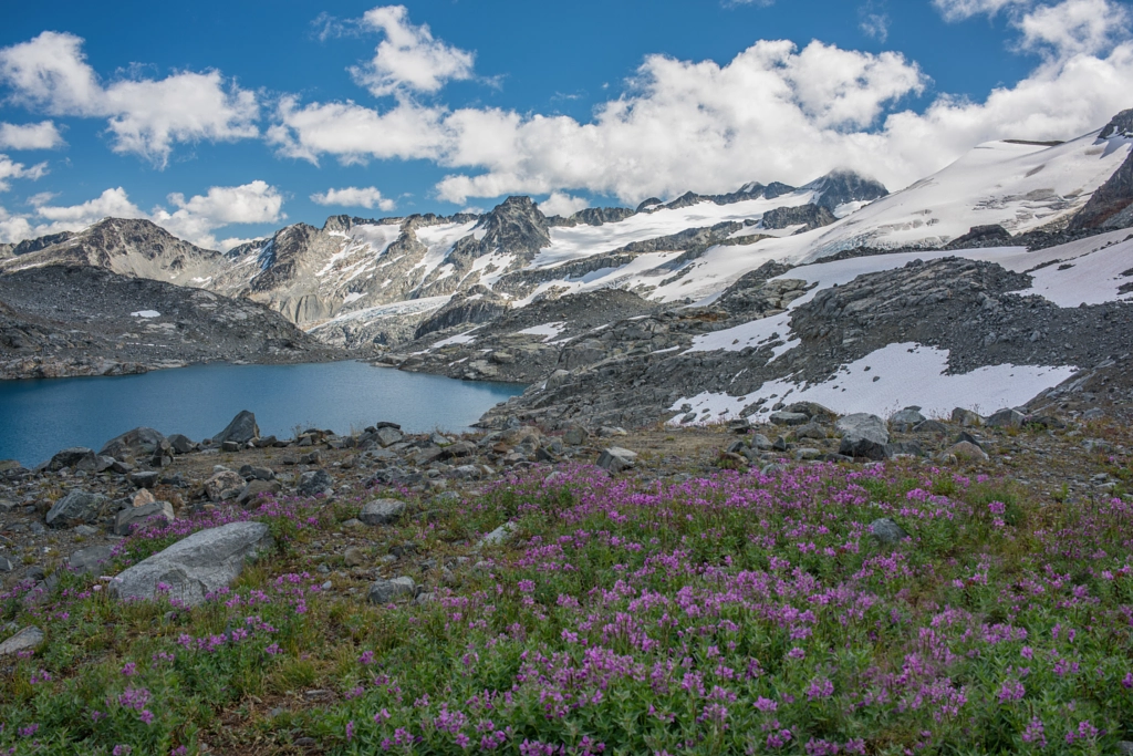 Meadows of Blackcomb Glacier by Matt MacDonald on 500px.com