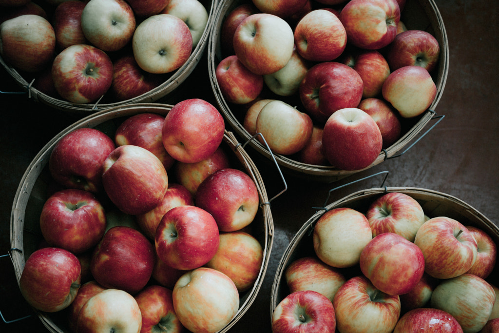 Apples in a wooden basket by Gabriela Tulian on 500px.com